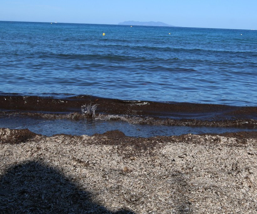 Plage de Pietracorbara-Marine de Pietracorbara必去景点
