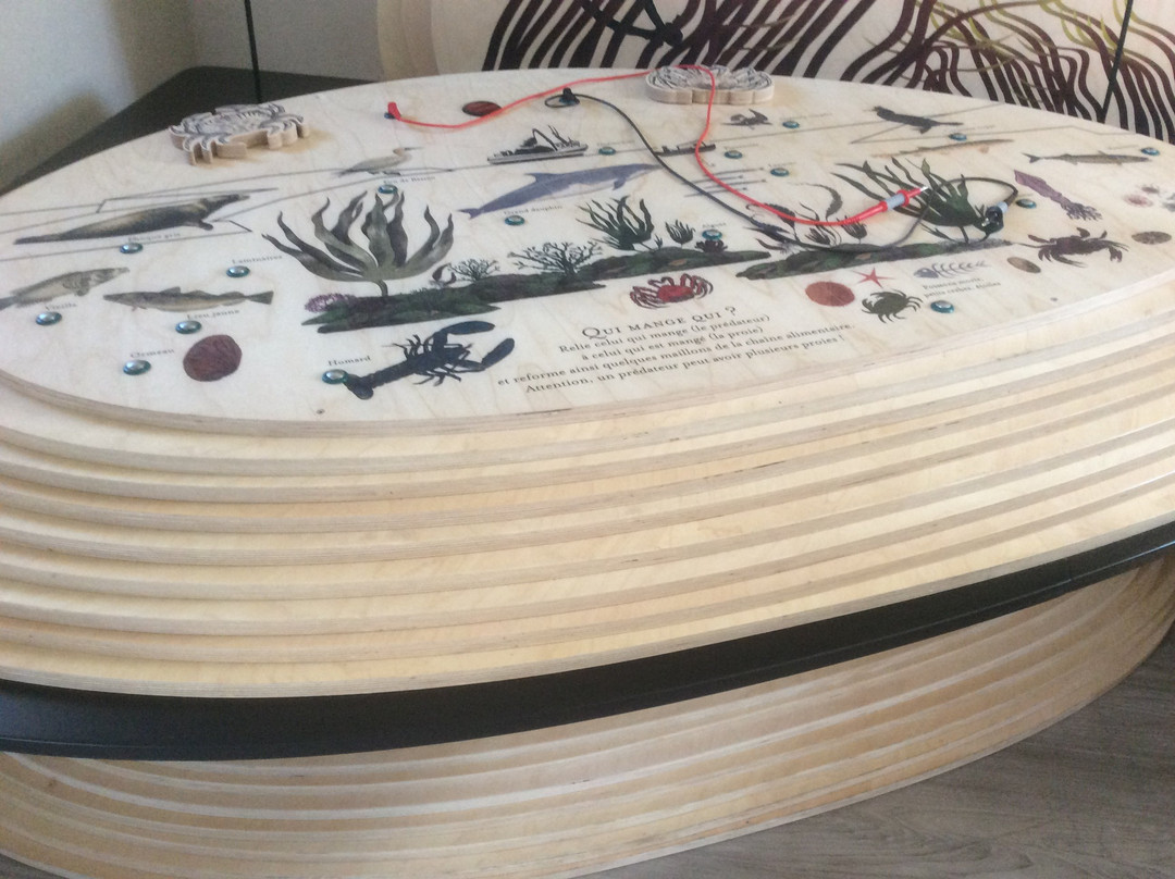 Maison de l'environnement insulaire-Ile Molene必去景点