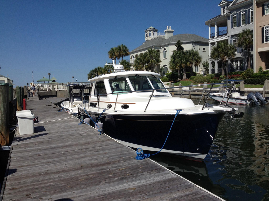 Sister City Cruises - Day Cruises-Daniel Island必去景点