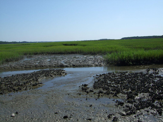 Carolina Safari Jeep Tours