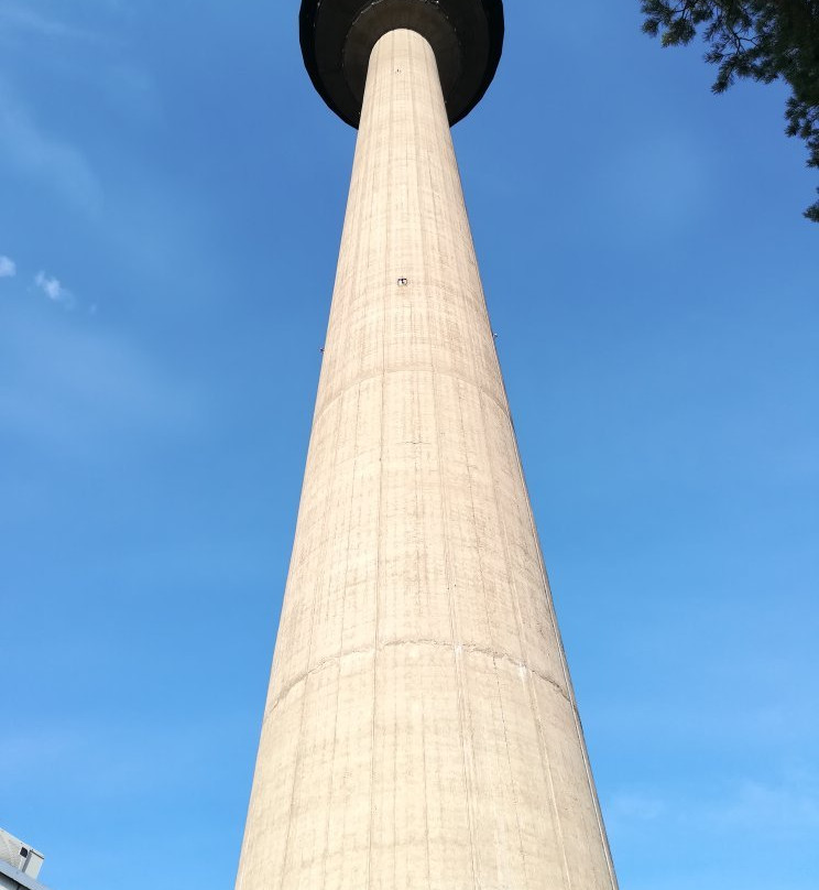 Nasinneula Tower-坦佩雷必去景点
