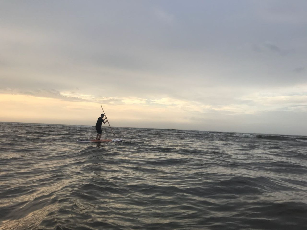 Bad Monkey-帕洛米诺必去景点