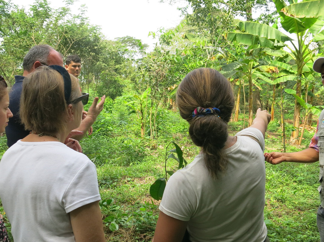 Asocalim-Luruaco必去景点