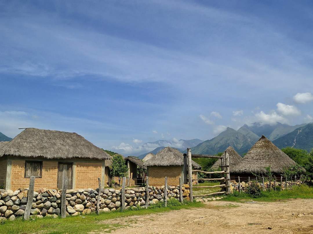 Paseo Vallenato Tour - Day Tours-巴耶杜帕尔必去景点
