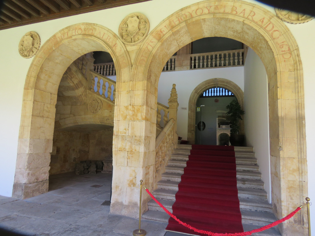 Colegio Mayor Arzobispo Fonseca (Archbishop Fonseca College)-萨拉曼卡必去景点