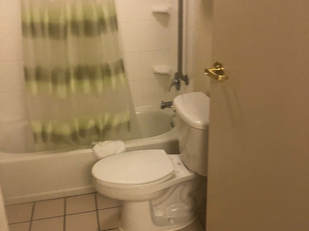 Springhill Suites Lansing主图