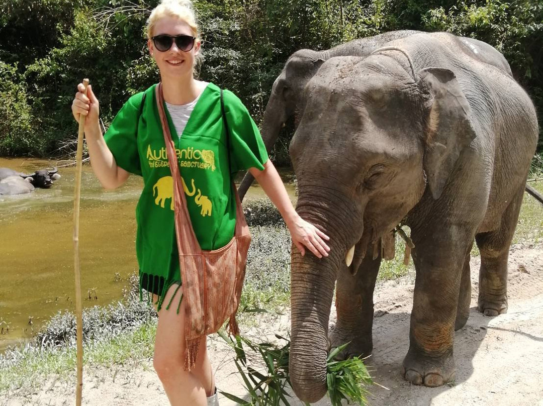 Authentic Thai Elephant Sanctuary-清迈必去景点