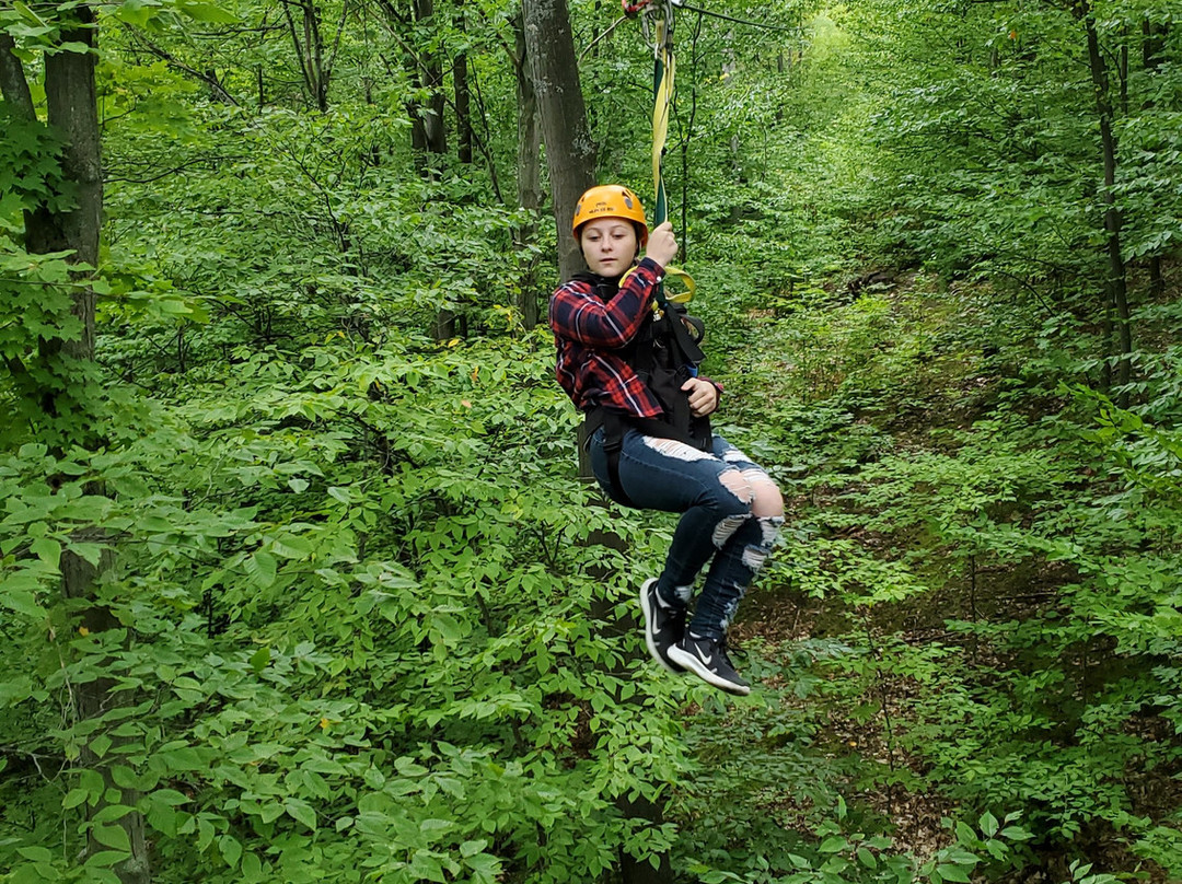 Wildwood Rush Zip Line Canopy Tour-Boyne City必去景点