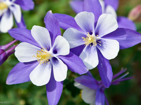 Colorado Photo Workshops-杜兰戈必去景点