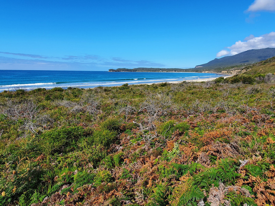 The Whale Trail Eaglehawk Neck Lookout景点图片