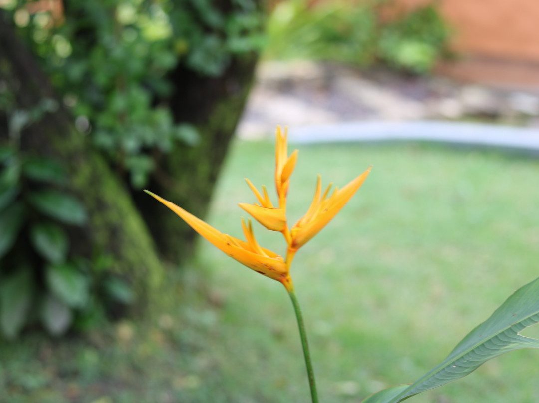 Pousada Mangabeiras主图