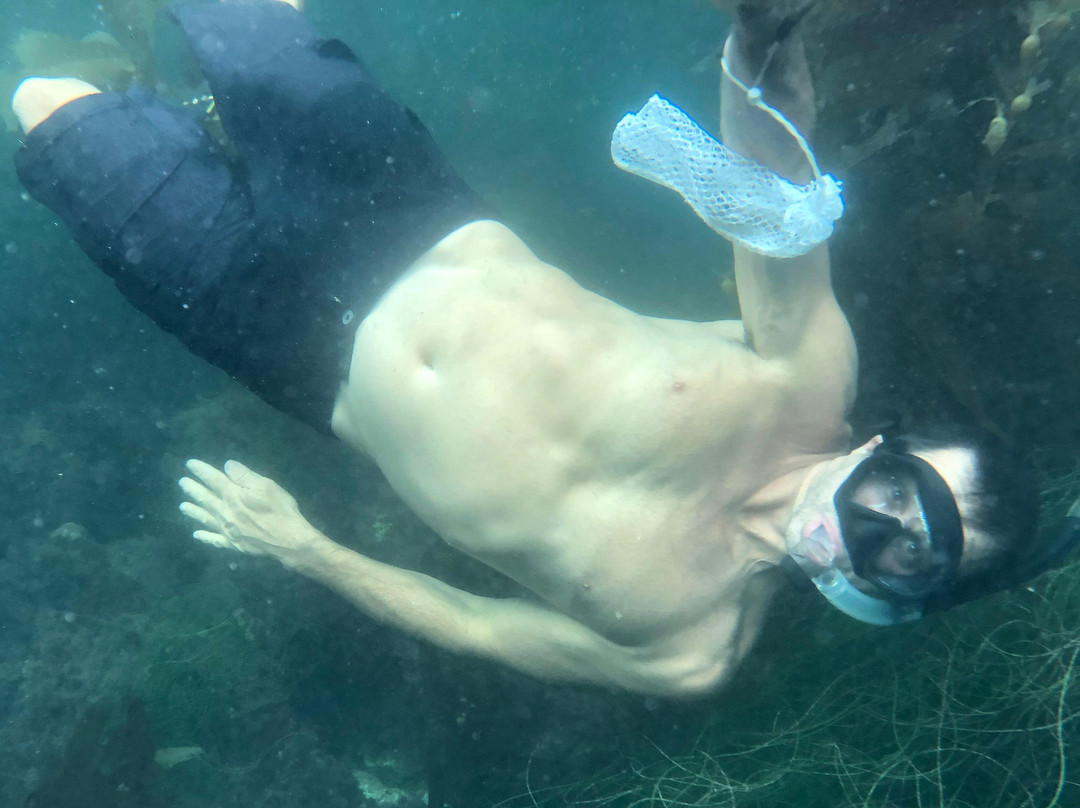 KAYAK, SNORKEL, SURF SOUTHERN CALIFORNIA-雷东多海滩必去景点