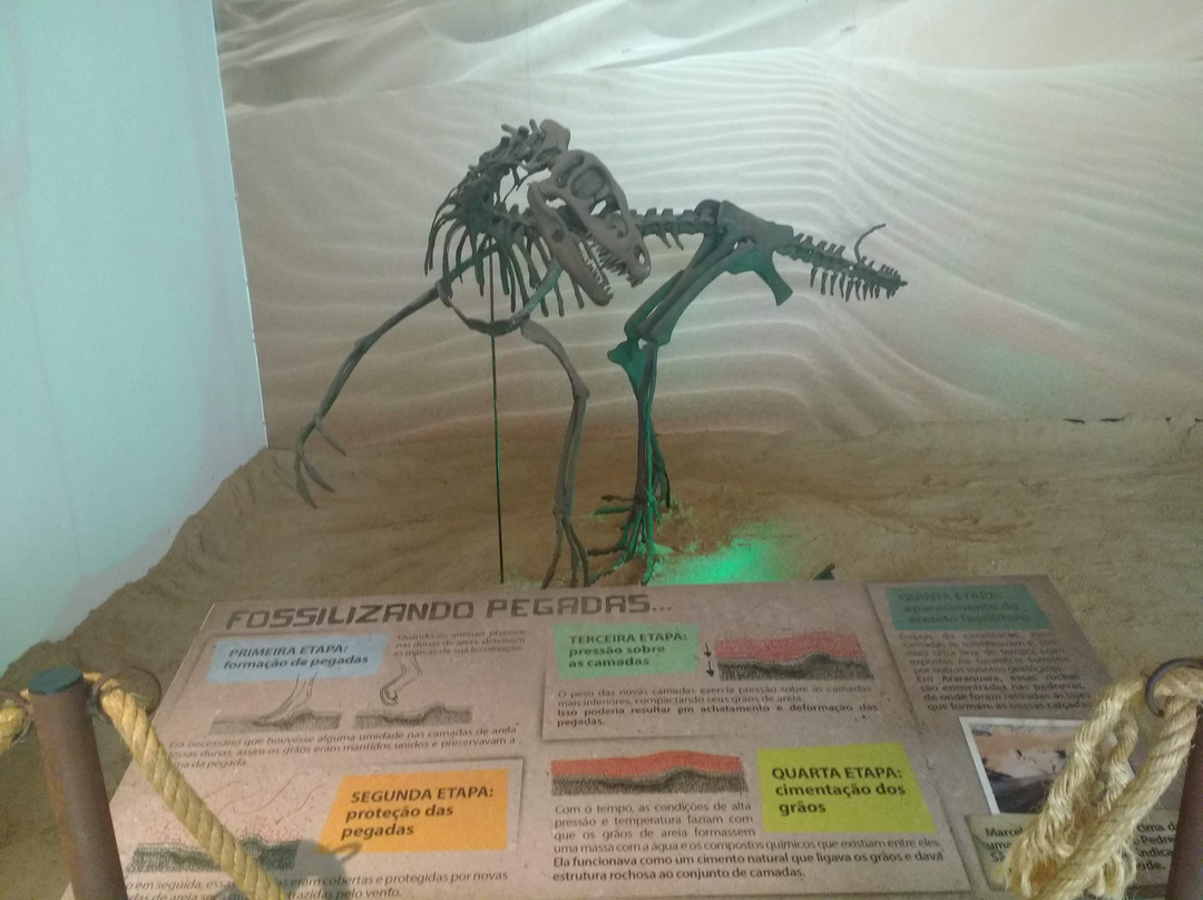 Museu de Arqueologia e Paleontologia (MAPA)-Araraquara必去景点
