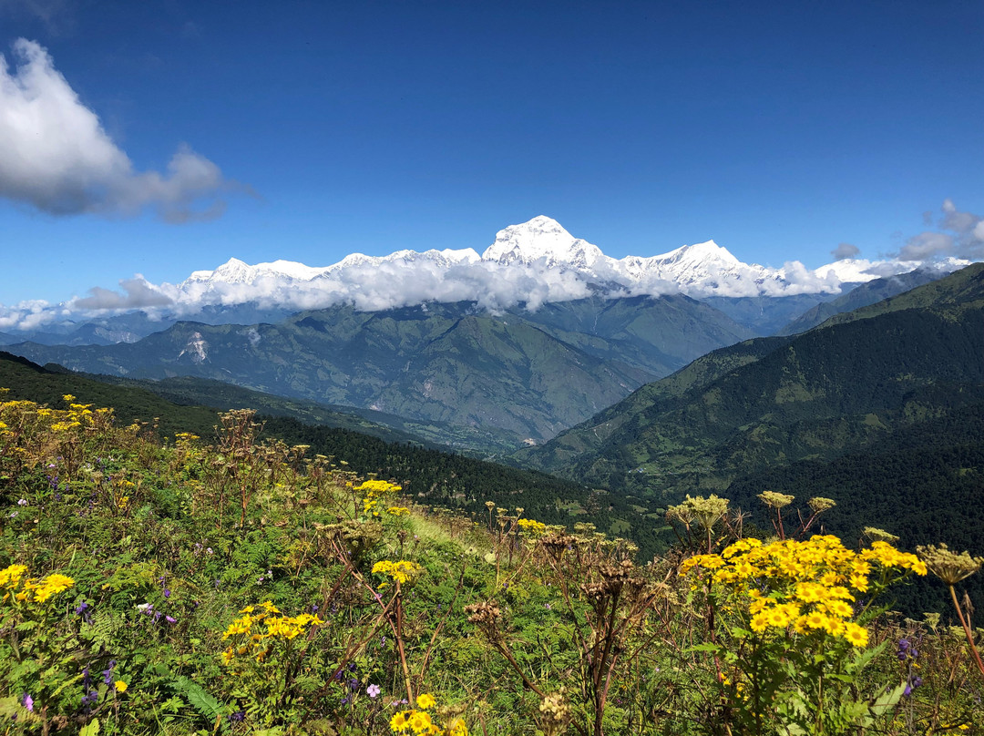 Himalaya Trekking Team Pvt. Ltd. Private Day Tours景点图片