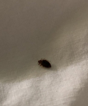 Hawthorn Suites By Wyndham San Angelo主图