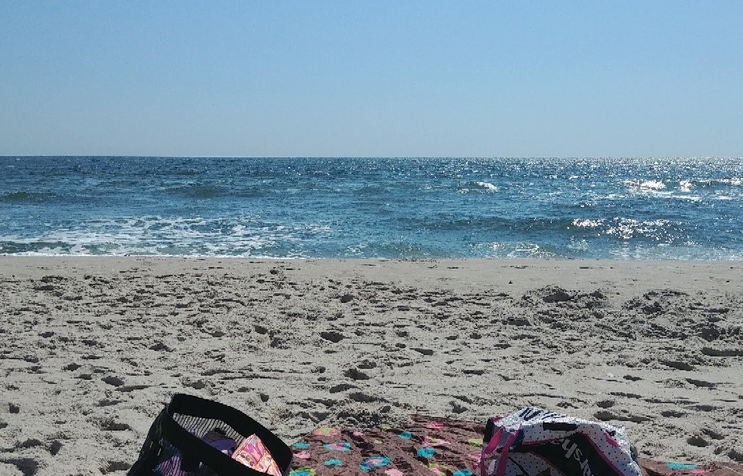 Tobay Beach景点图片