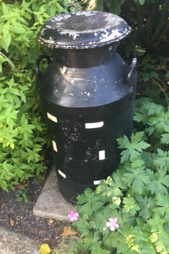 Scaplen's Court & Garden-普尔必去景点