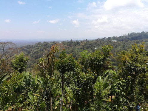 Materuni Cultural Tourism-莫西必去景点