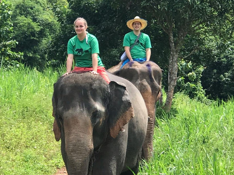Woody Elephant Sanctuary-夜登必去景点