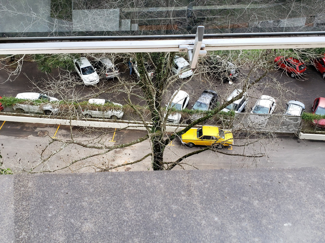 Itaimbé Palace Hotel主图