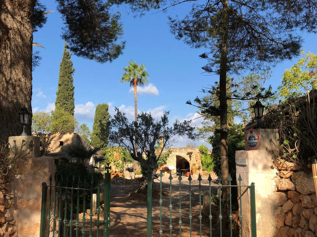 安格洛图里斯莫芬卡松皮拉斯旅馆主图