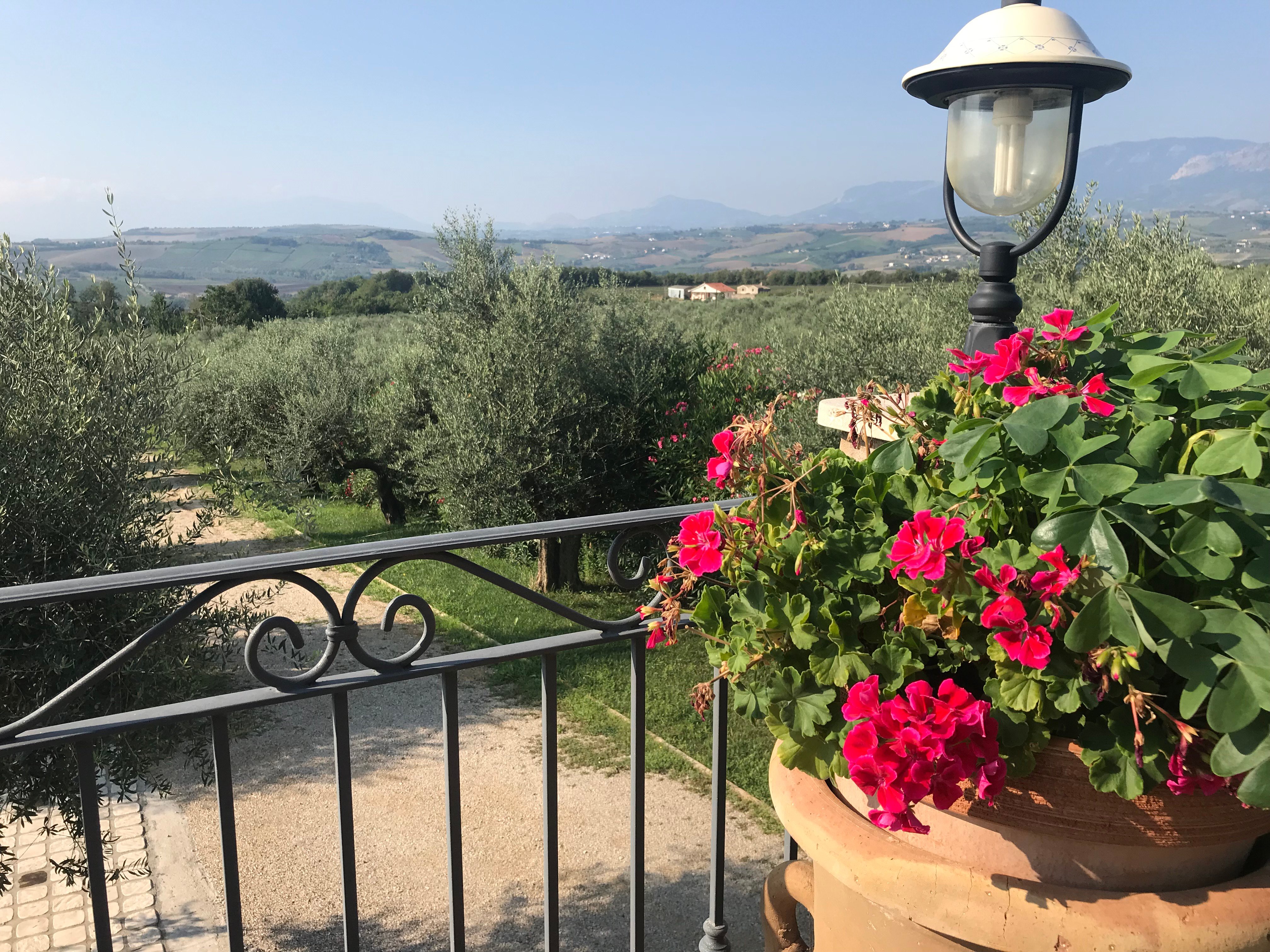 Agriturismo Olivuccia-浴室