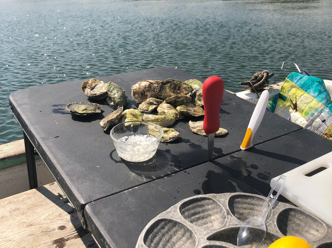 Nonesuch Oysters-斯卡伯勒必去景点