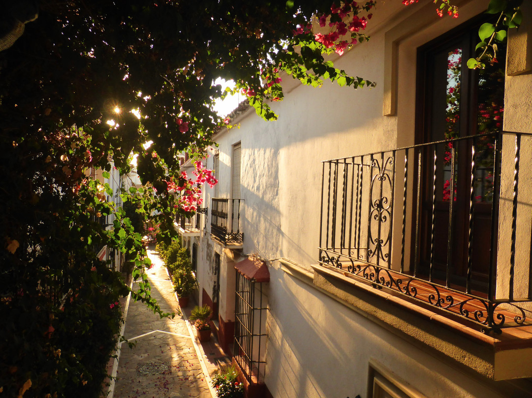 La Villa Marbella主图