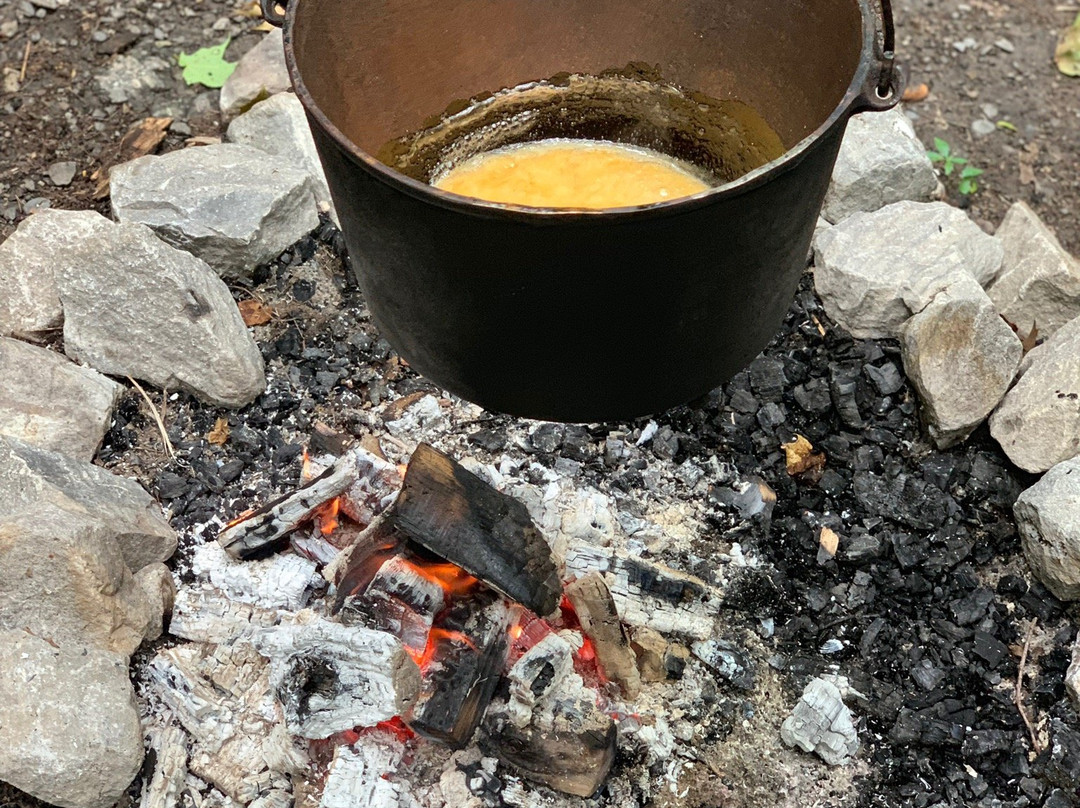 White Meadows Farms-Pelham必去景点