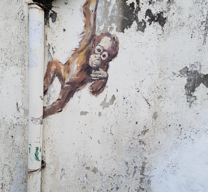 Orang Utan Murals-古晋必去景点