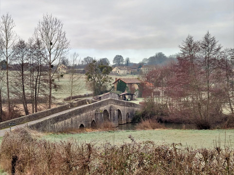 Vieux Pont Sur La Charente À Chatain