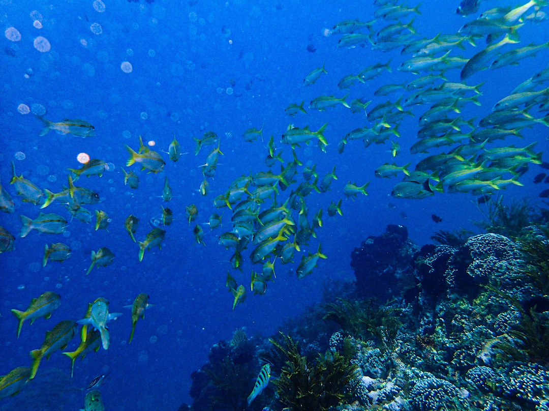 Padangbai Bali Dive-卡朗阿森必去景点