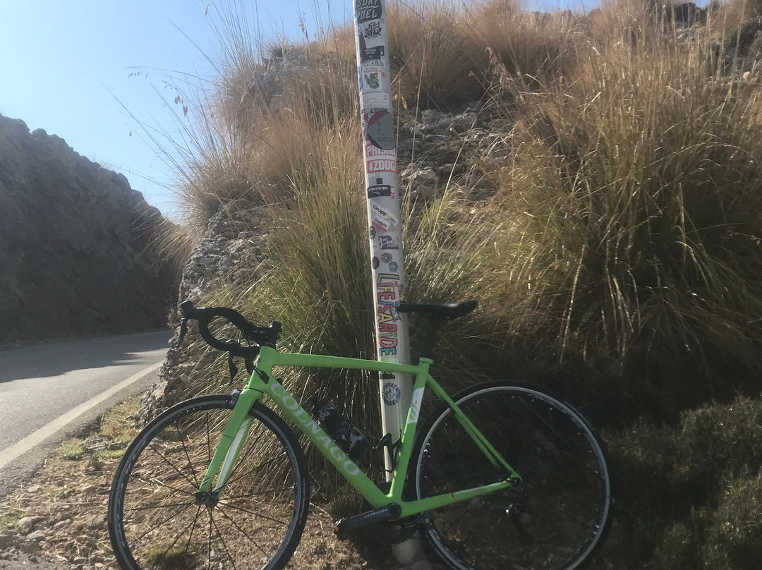 Bikehead Mallorca景点图片