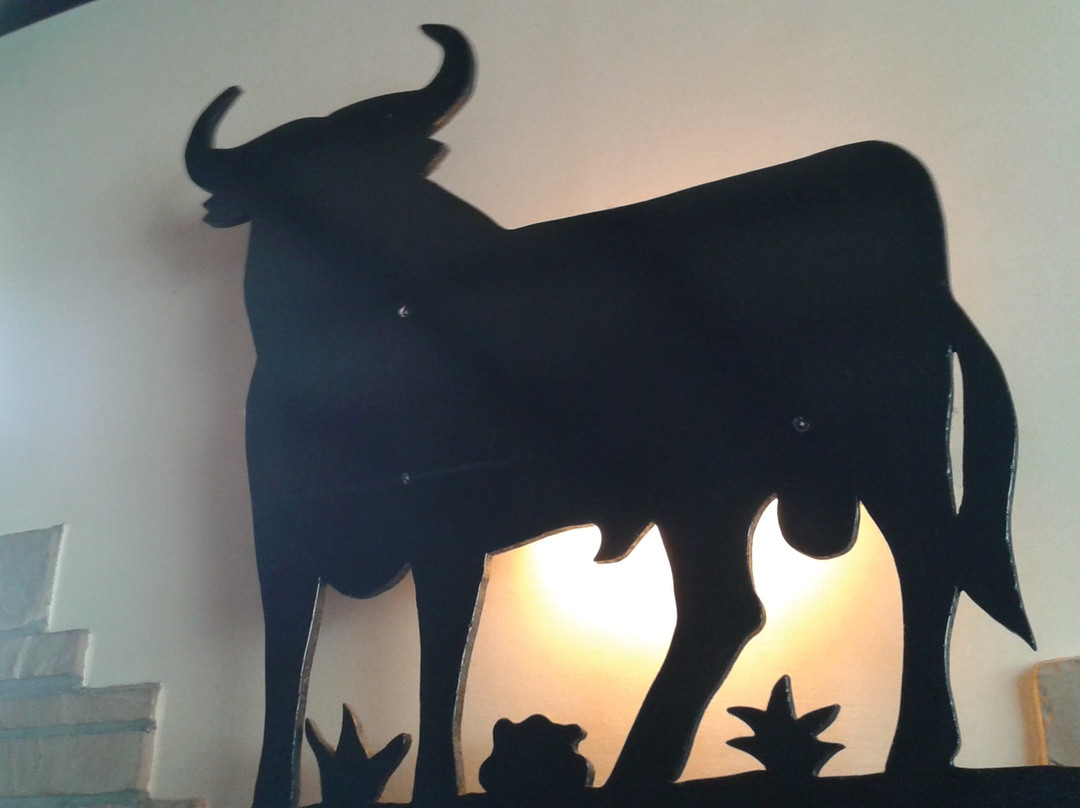 Die Kiste-库克斯港县必去景点