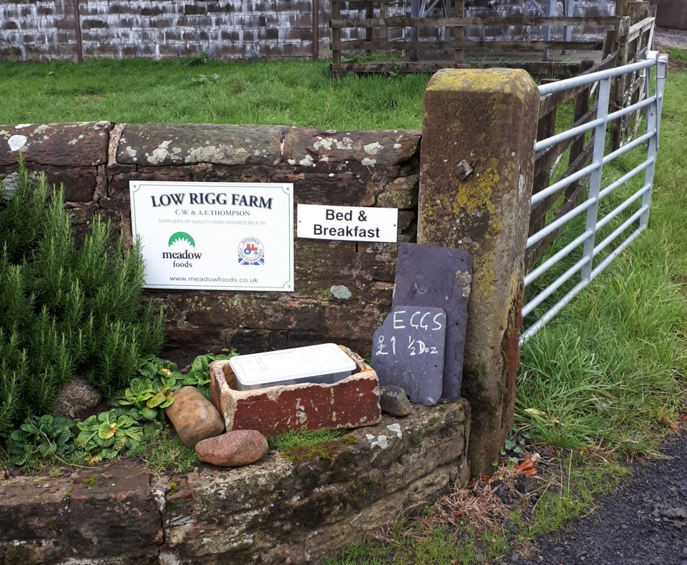 Low Rigg Farm主图