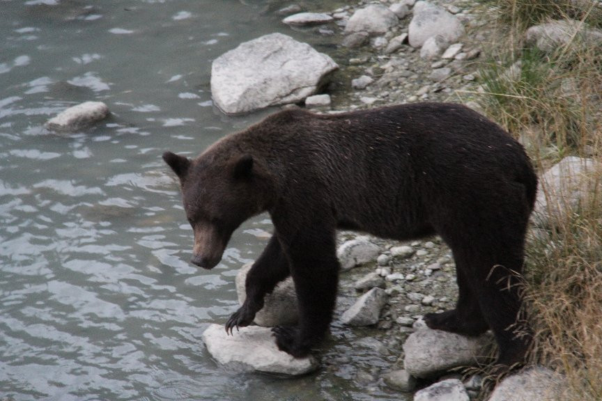 Haines Borough Public Library-海恩斯必去景点