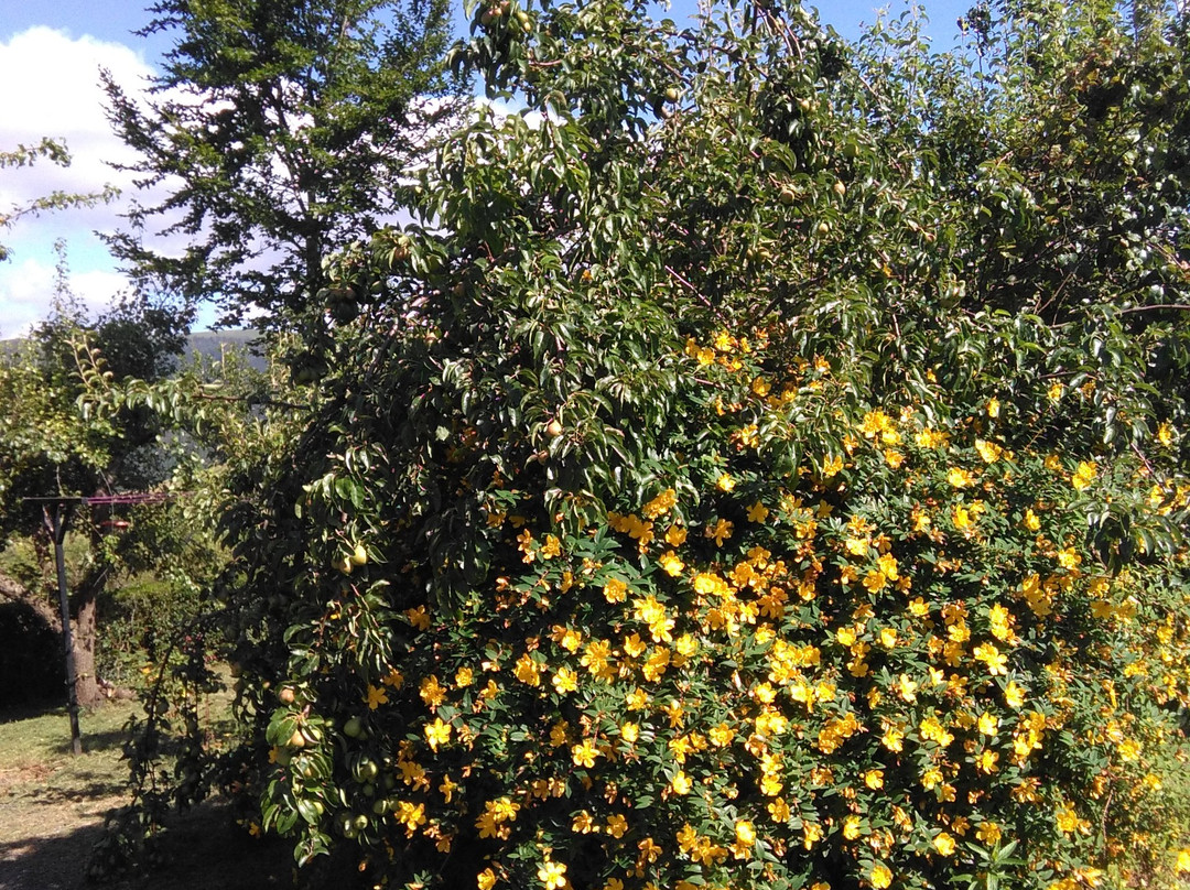 Aia旅游攻略图片