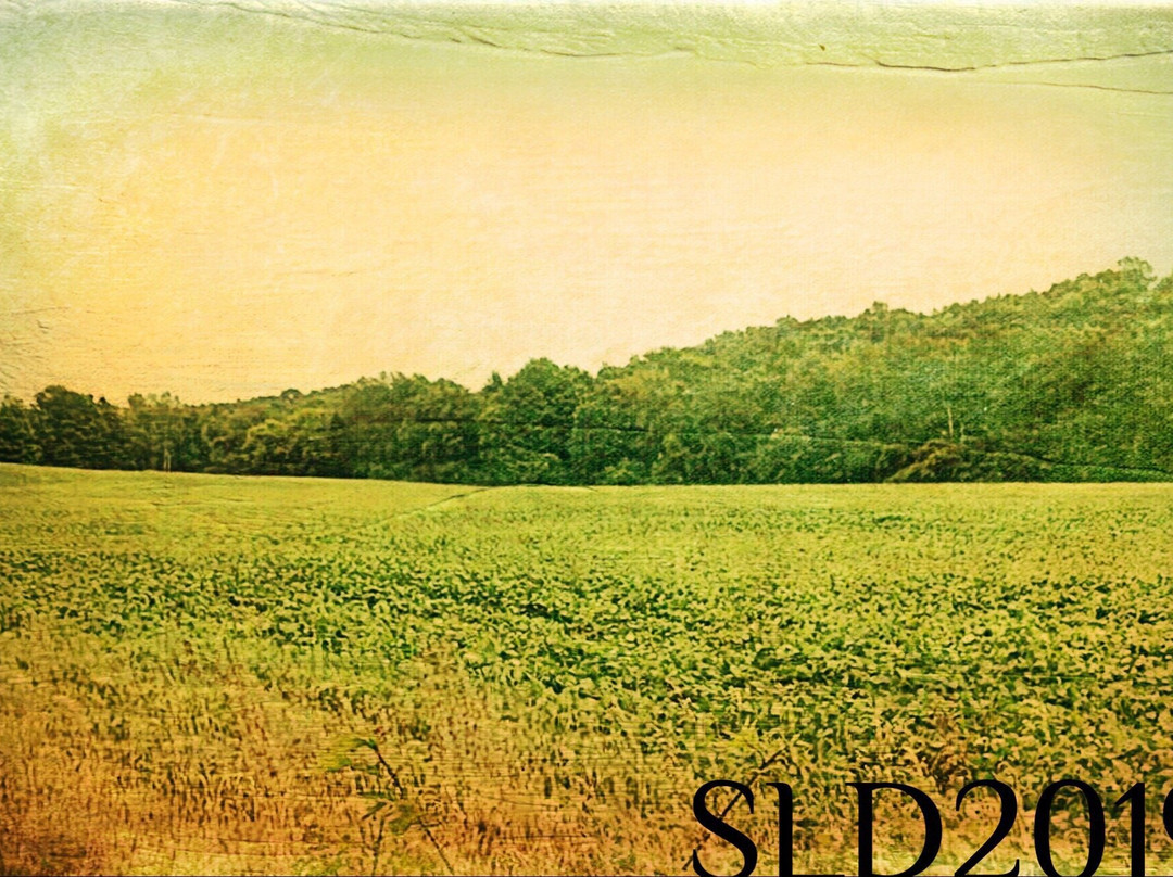 Black River Trail-Black River必去景点