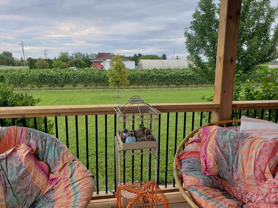 A Vineyard View Bed and Breakfast主图