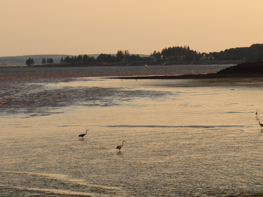 Victoria Park-夏洛特镇必去景点