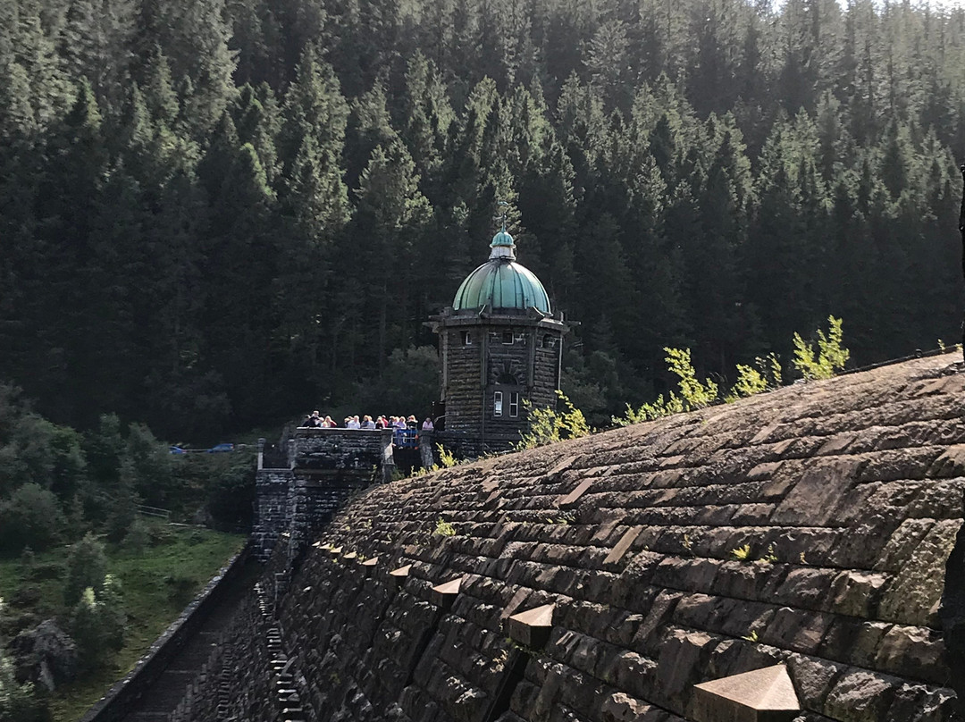 Pen y Garreg Dam景点图片