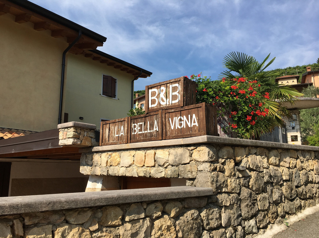 Agriturismo La Bella Vigna主图