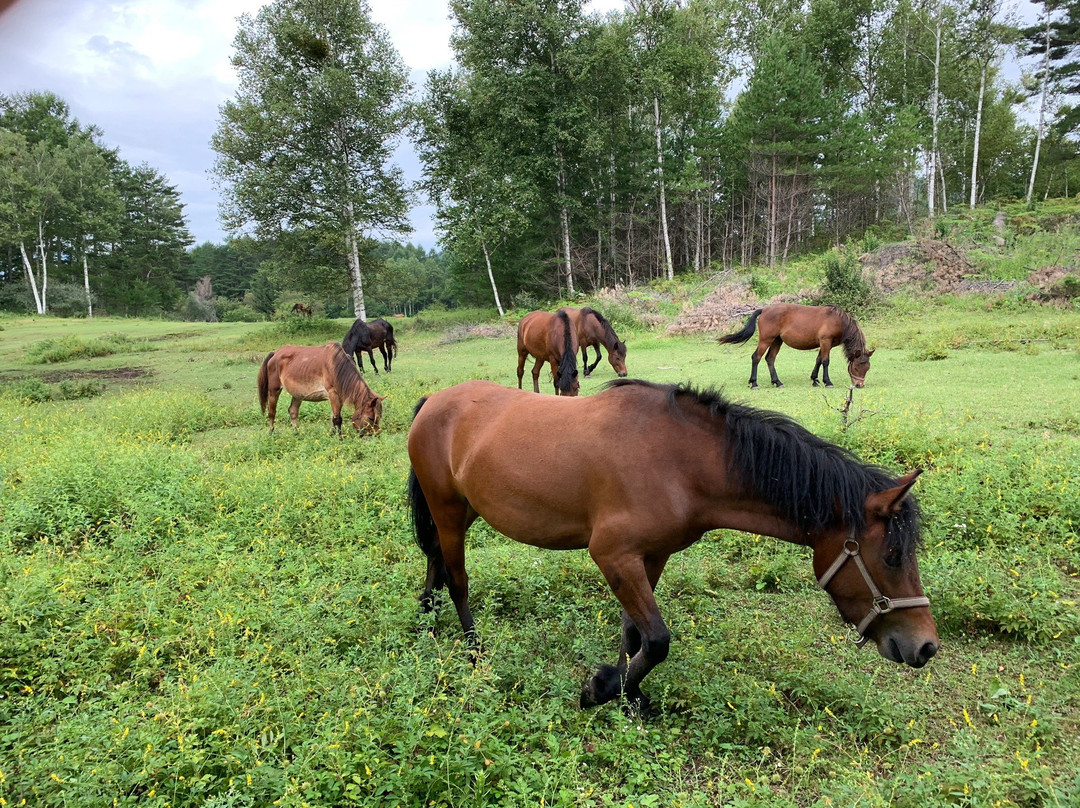 Kisomanosato-木曾町必去景点