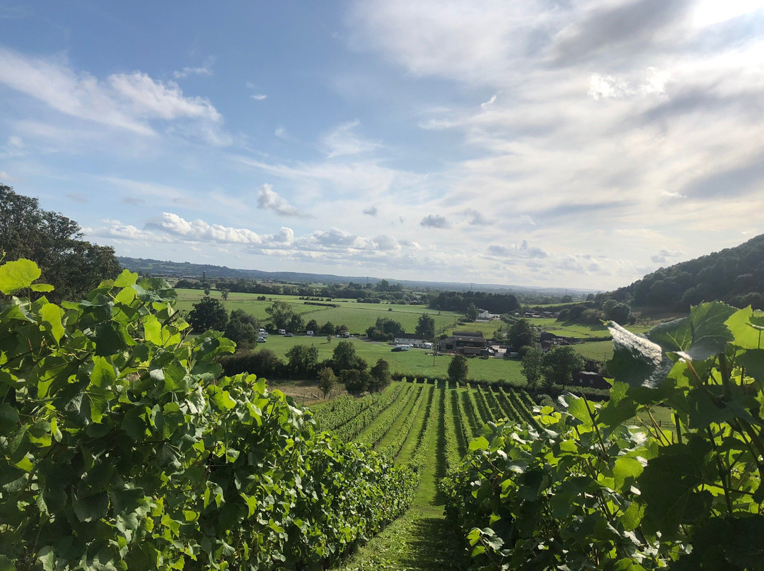 Fenny Castle Vineyard景点图片