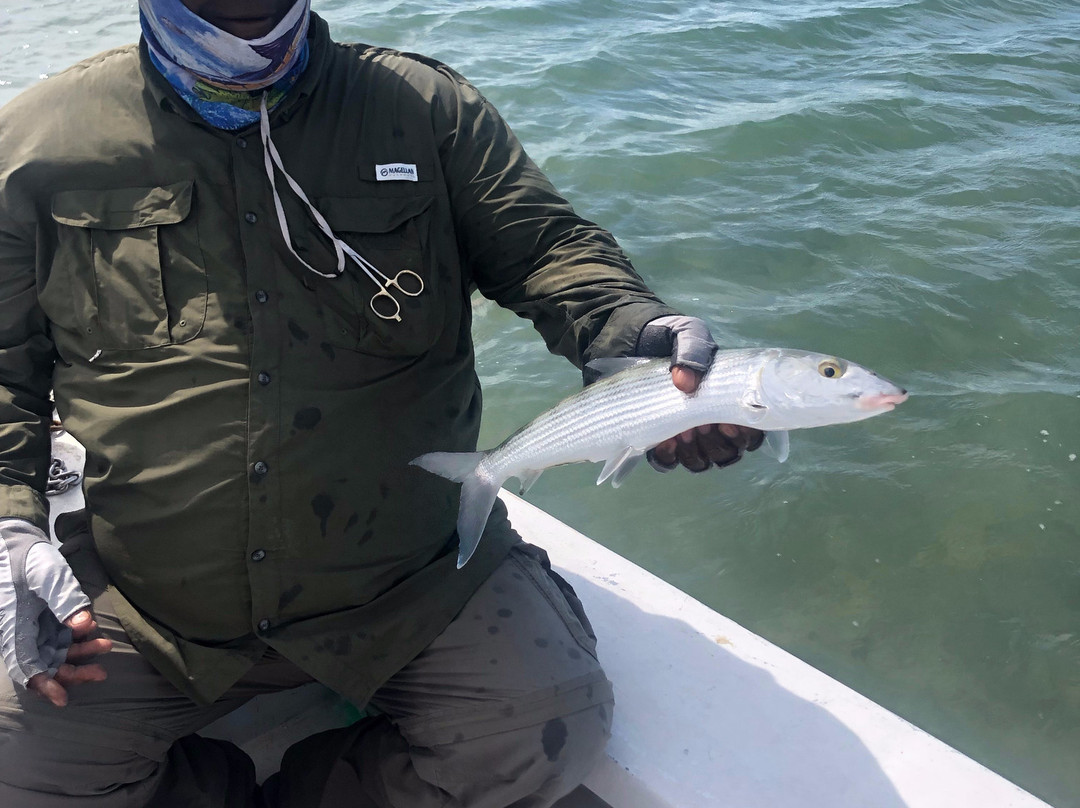 Bonefish Stevie-George Town必去景点