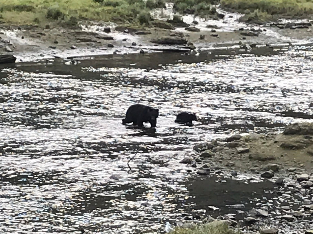 Herring Cove-凯奇坎必去景点
