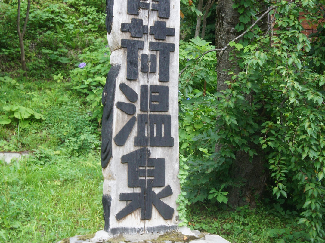 灯之宿青荷温泉主图