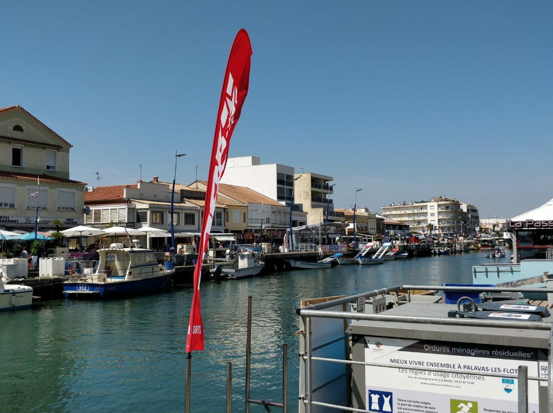 Port de Palavas-les-Flots-帕拉瓦莱弗洛必去景点