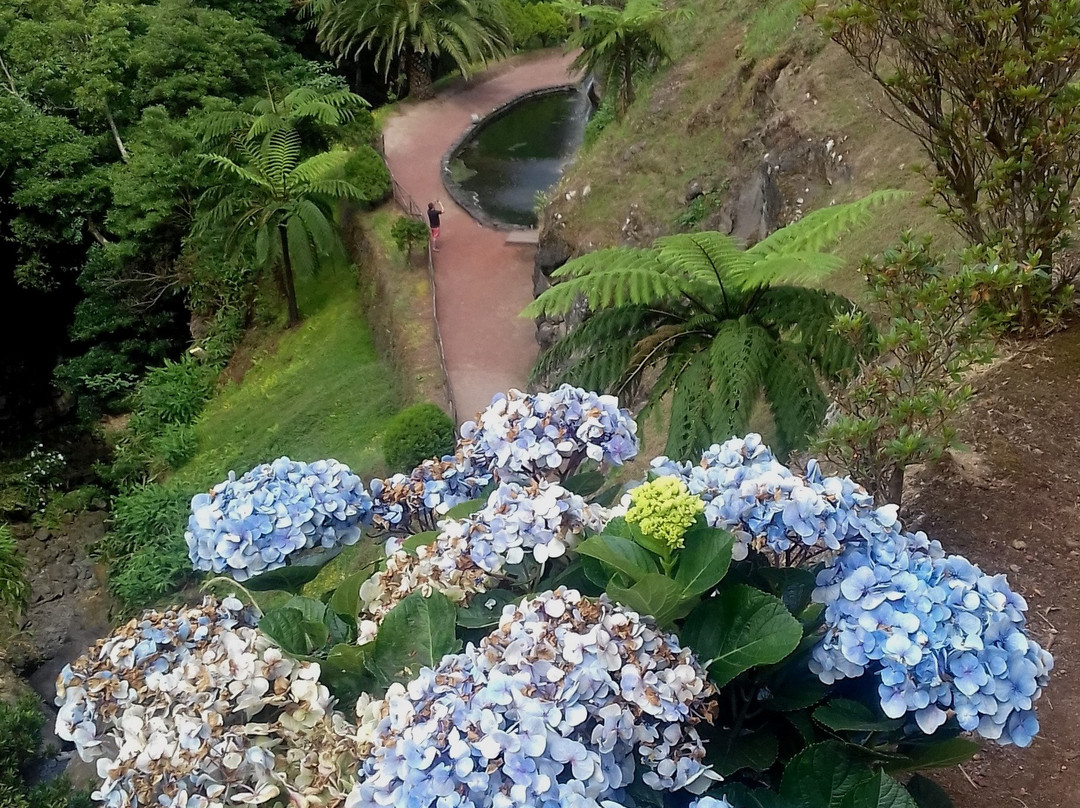 Parque Natural da Ribeira dos Caldeirões景点图片