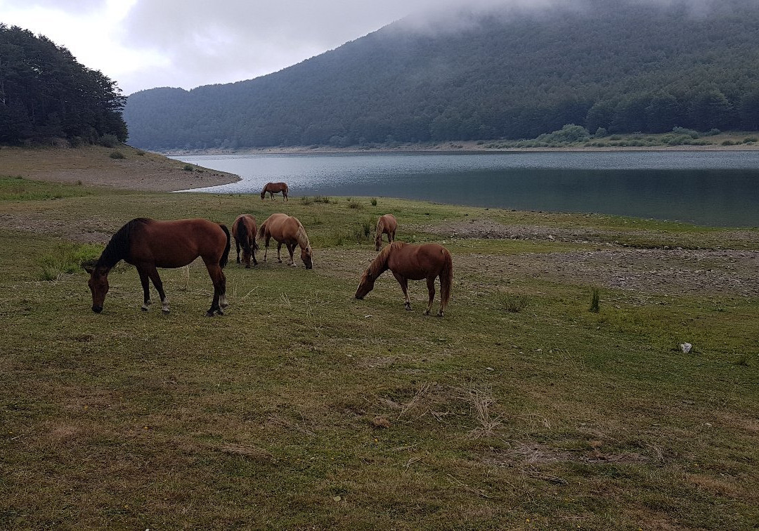 Lago Paduli景点图片